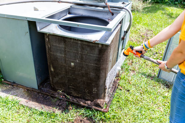 Best Dryer Vent Cleaning Services  in Lewes, DE