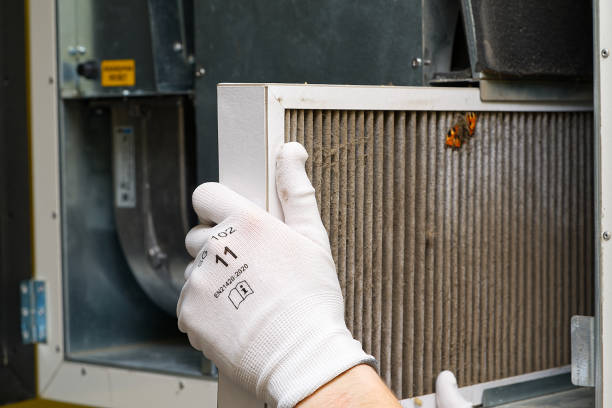 Best Ductwork Cleaning Services  in Lewes, DE